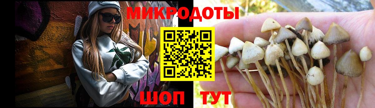 Долгопрудный  Псилоцибиновые грибы Psilocybine cubensis  Вход с VPN  Галлюциногенные грибы Cubensis 